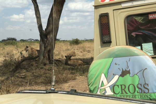 6 Day Exclusive Tanzania Luxury Safari