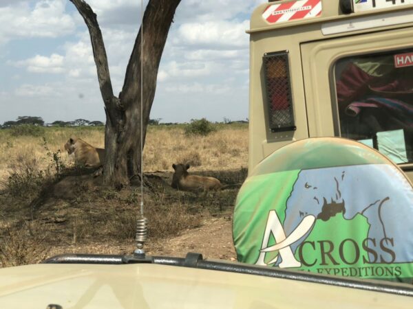 6 Day Exclusive Tanzania Luxury Safari
