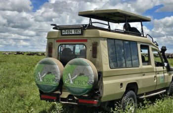 Across Tanzania Expeditions