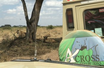 6 Days Luxury Safari