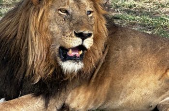 Across Tanzania Expeditions
