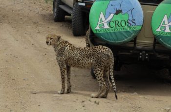 Across Tanzania
