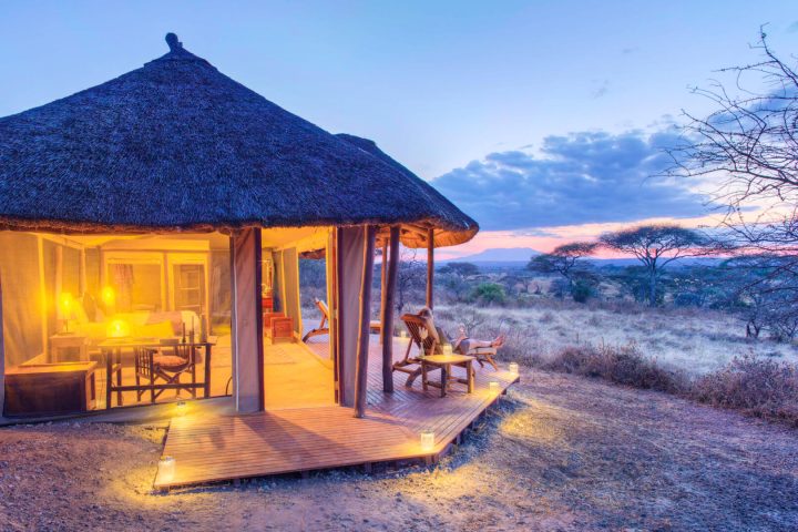 Luxury safari