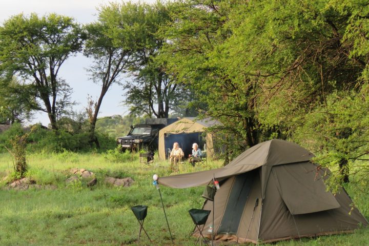 Camping_Safari