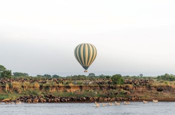 Serengeti Balloon Safaris